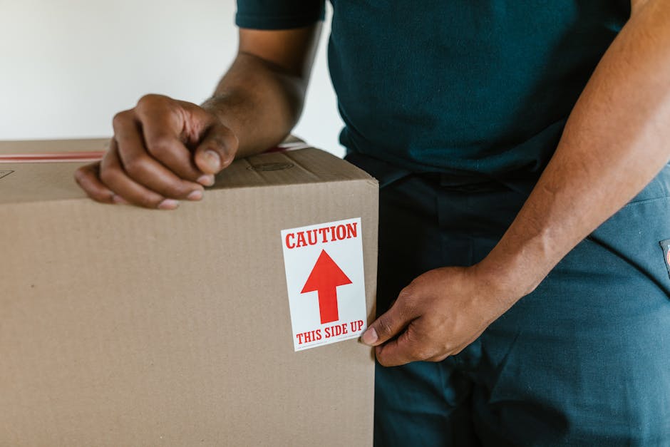 A man and a woman inside a bright, modern home are preparing for a house move, holding cardboard boxes and a large ceramic vase with green leafy plants. The man is wearing an orange pair of trousers a